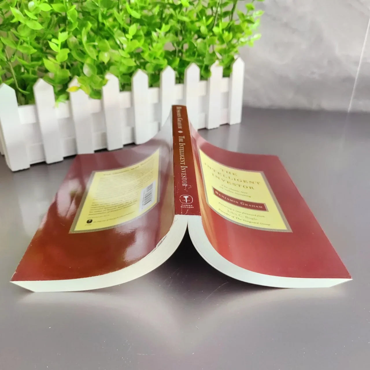 The Intelligent Investor